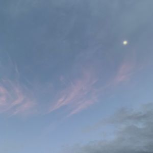 Meet your Posher, Melody